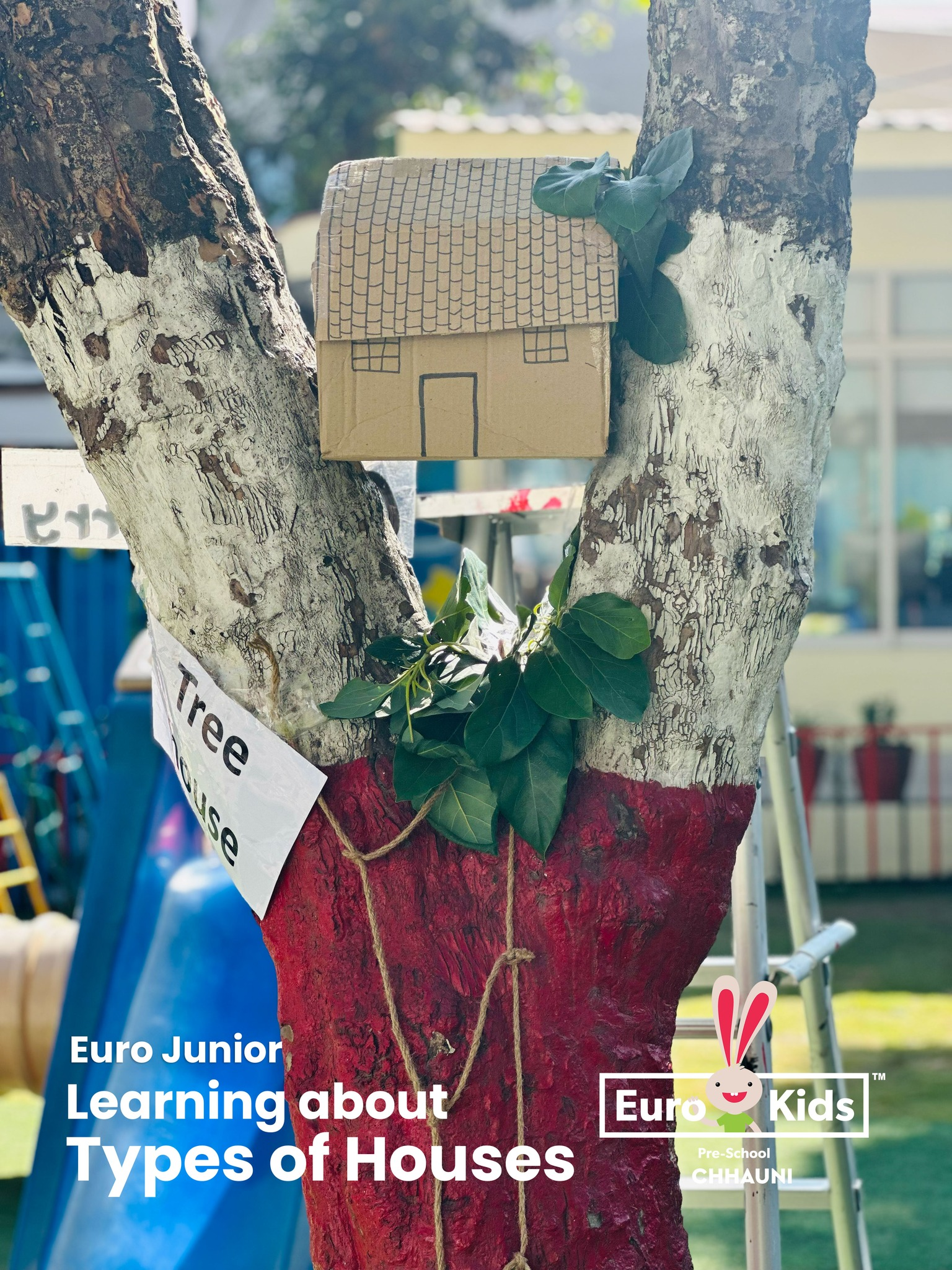 Euro Junior, Learning about Types of Houses